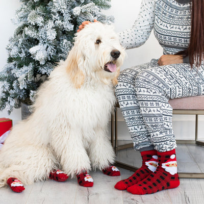 pet christmas