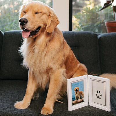 pearhead's pawprints desk frame