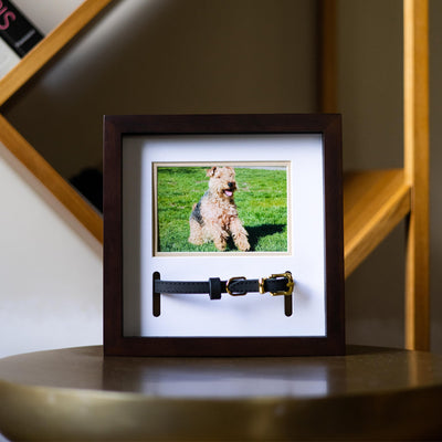 pet collar frame