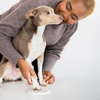 Creating a pawprint in the clay keepsake.