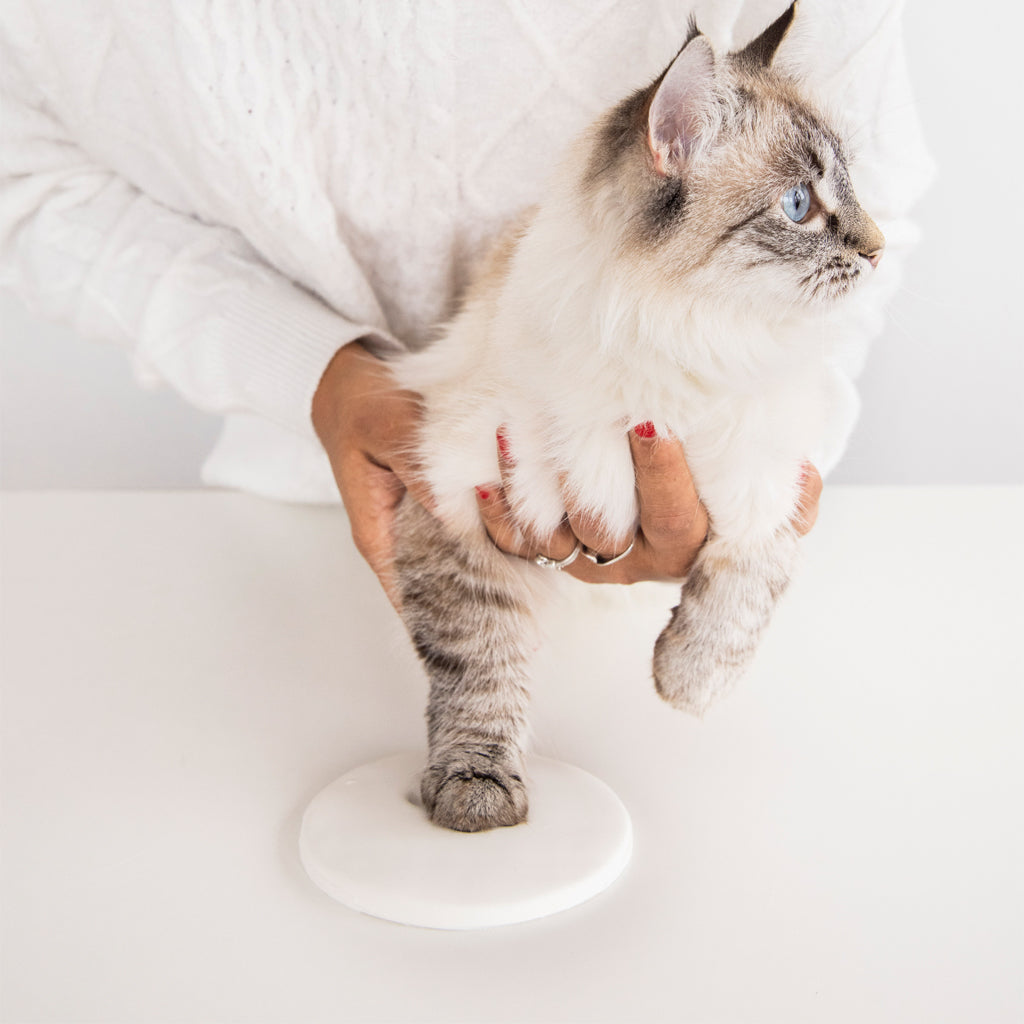 Creating a pawprint in the clay keepsake.