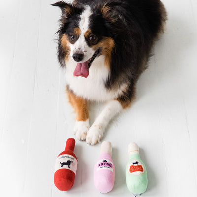 Pearhead's happy hour dog toy set