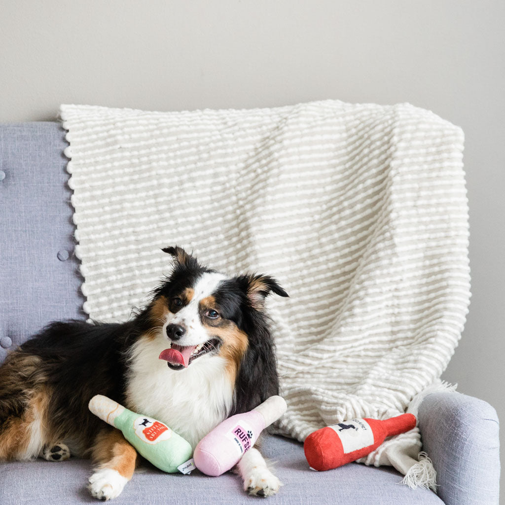 Pearhead's happy hour dog toy set